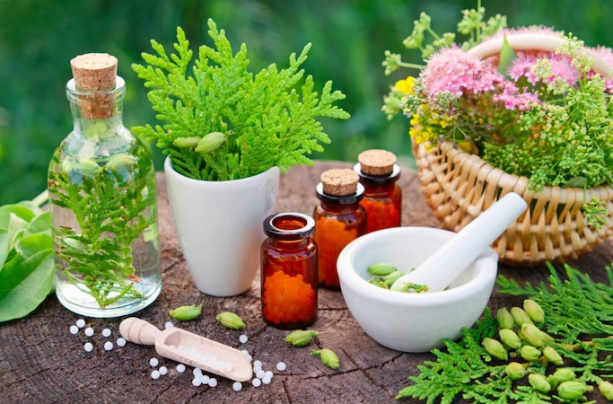 DetoxGuide.org - Homotoxicology